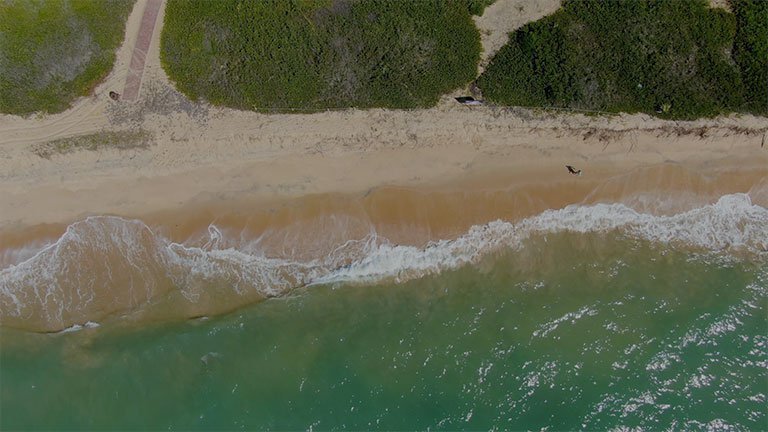 Fotografia aérea de uma praia do litoral brasileiro.