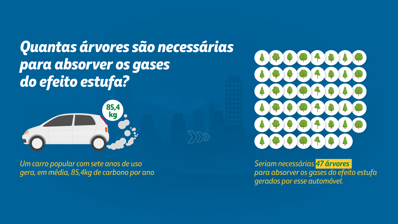 Seriam necessárias, em média, 47 árvores para absorver os gases de efeito estufa de um carro popular.