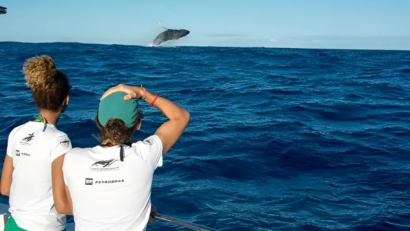 Duas pesquisadoras do Projeto Baleia Jubarte, com camisetas da Petrobras, observam uma baleia-jubarte saltando no oceano a partir de uma embarcação.