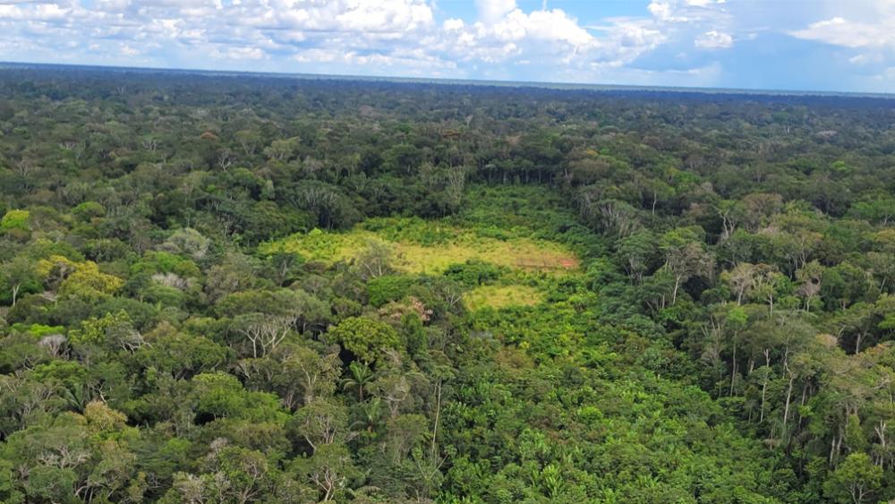 Vista aérea de uma floresta, parte reflorestada em Urucu, Coari, Amazonas