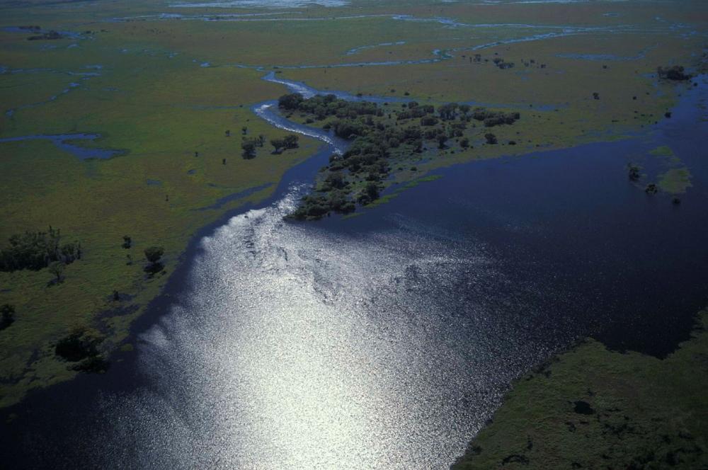 Vista aérea do Pantanal mato-grossense com rio sinuoso de águas escuras e reflexo do sol, cercado por planície verde alagada e vegetação