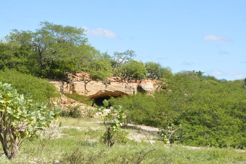Abertura de caverna em paredão rochoso cercada por vegetação nativa de caatinga e arbustos verdes sob céu azul.